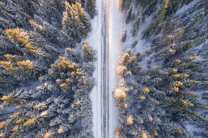 The Black Hills in February: Ultimate Winter Vacation