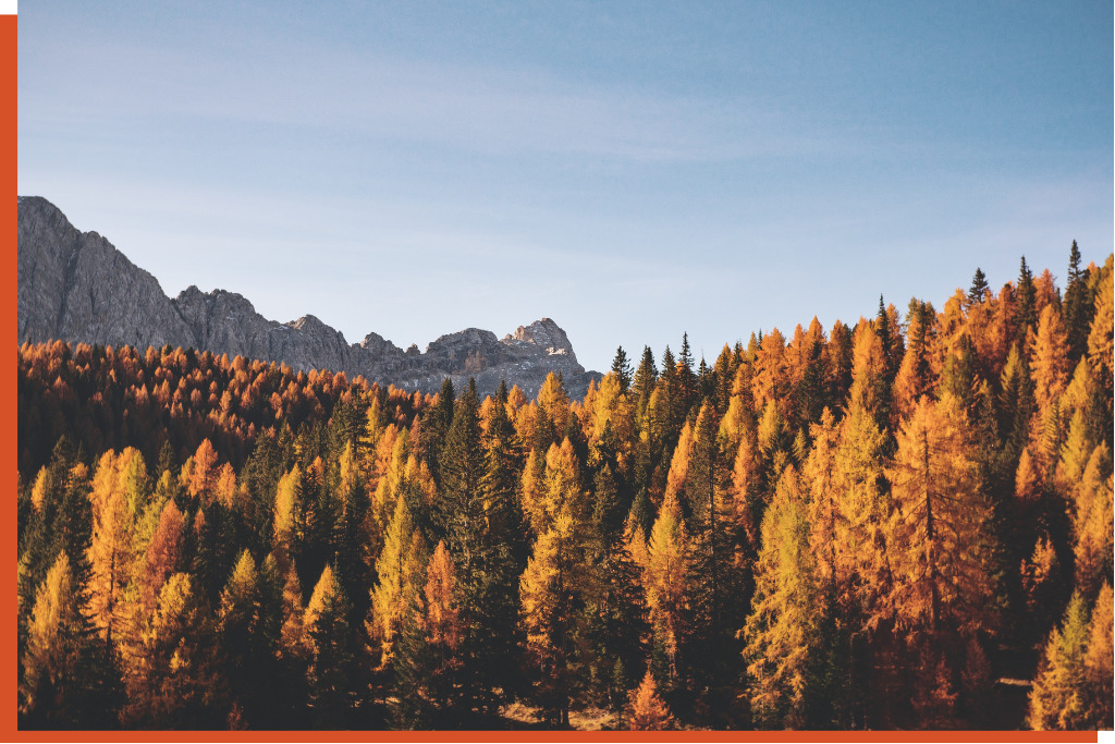 Black Hills in October